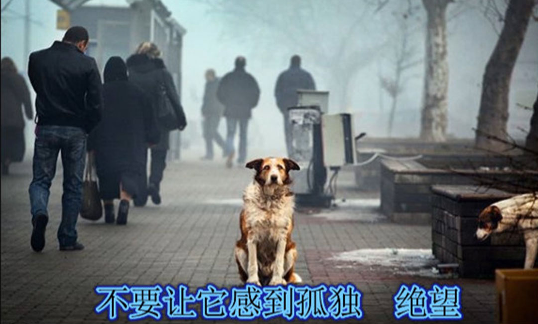 常州常州爱影圈微博微信转发案例